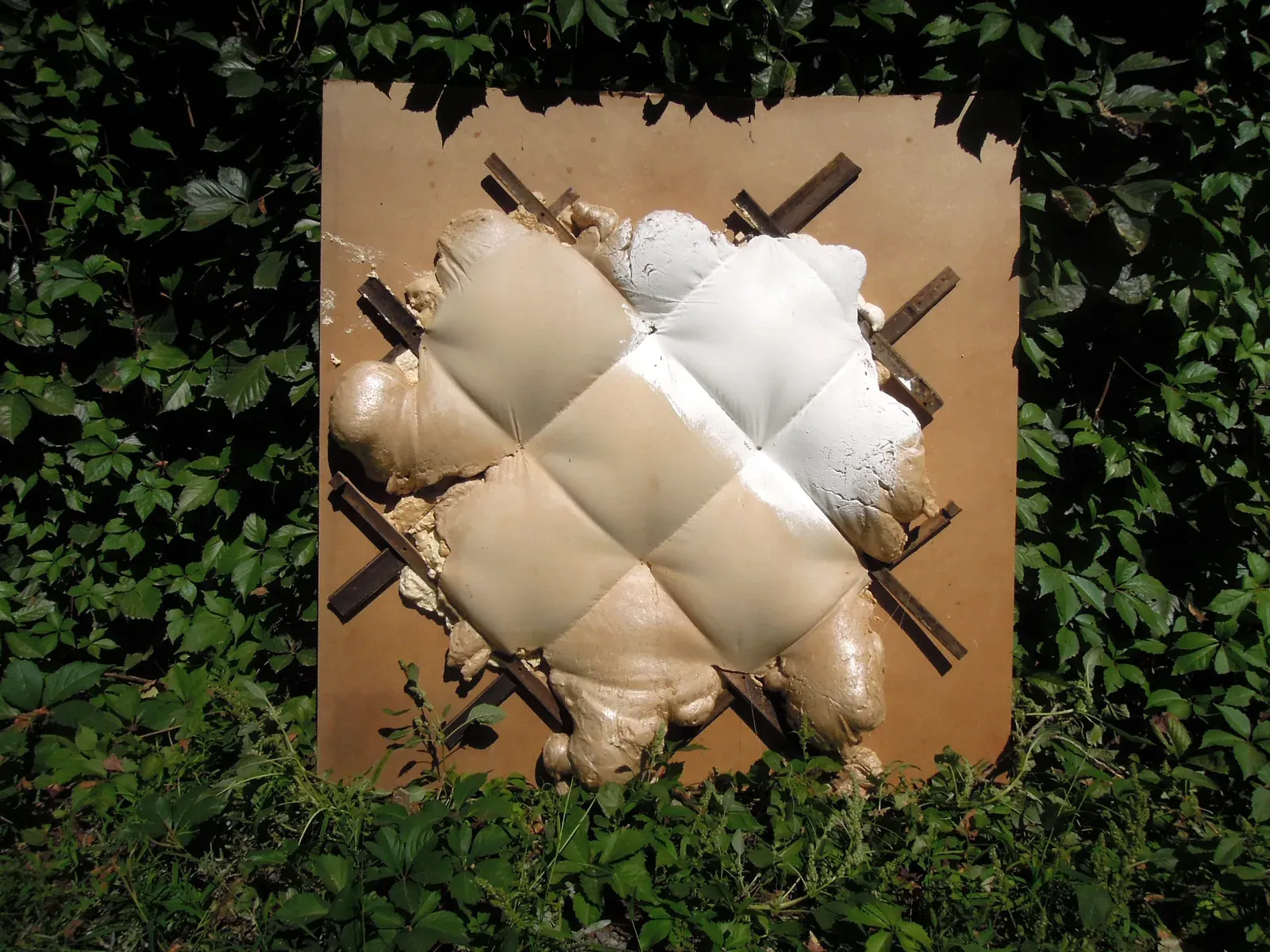 Making the shell